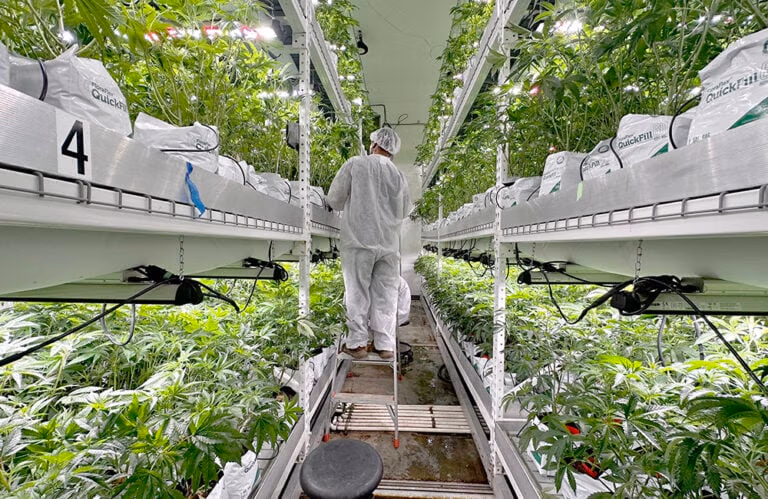 State of the Art Grows