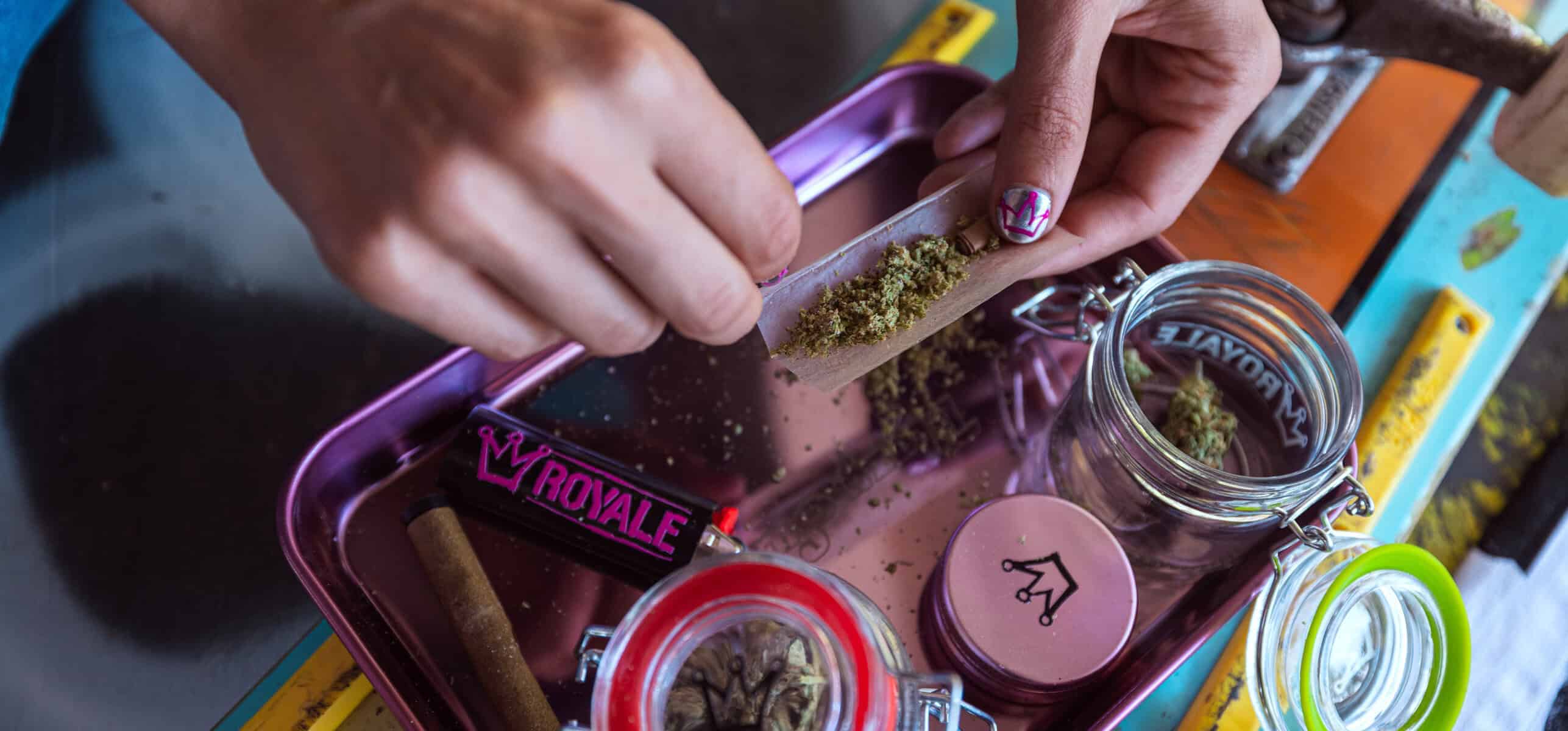 ascend cannabis royale